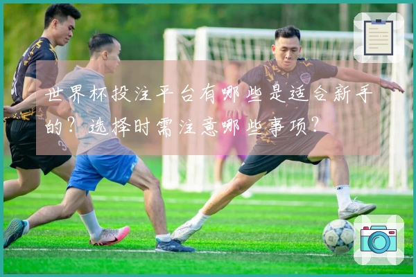 世界杯投注平台有哪些是适合新手的？选择时需注意哪些事项？