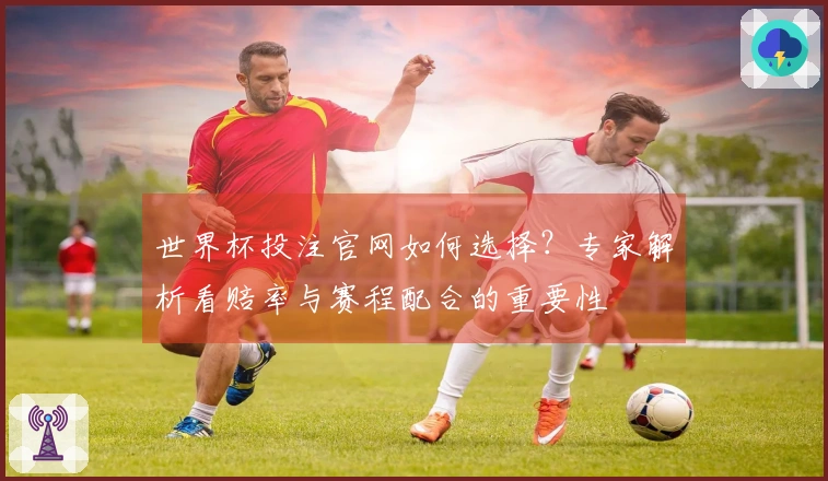 世界杯投注官网如何选择？专家解析看赔率与赛程配合的重要性