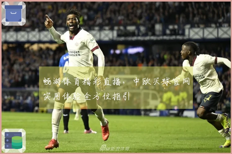 畅游体育精彩直播，中欧买球官网实用体验全方位指引