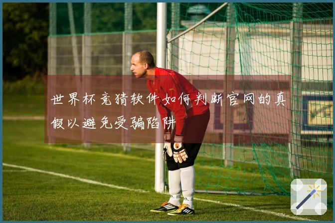 世界杯竞猜软件如何判断官网的真假以避免受骗陷阱