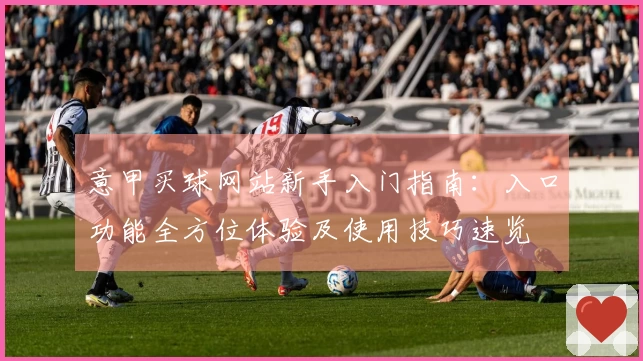 意甲买球网站新手入门指南：入口功能全方位体验及使用技巧速览