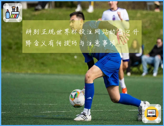 辨别正规世界杯投注网站的盘口升降含义有何技巧与注意事项