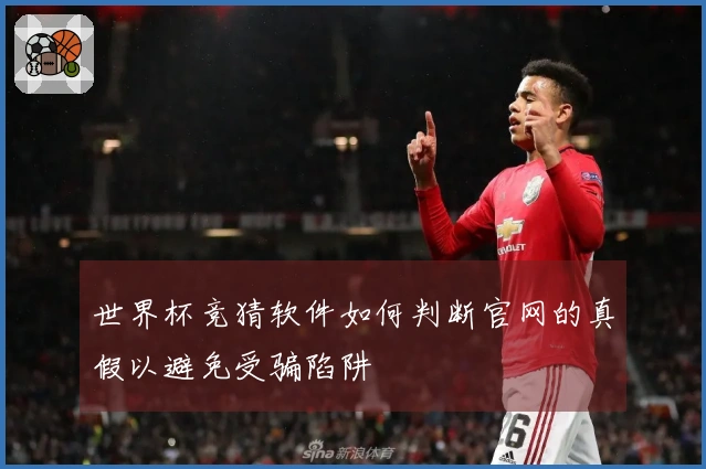 世界杯竞猜软件如何判断官网的真假以避免受骗陷阱