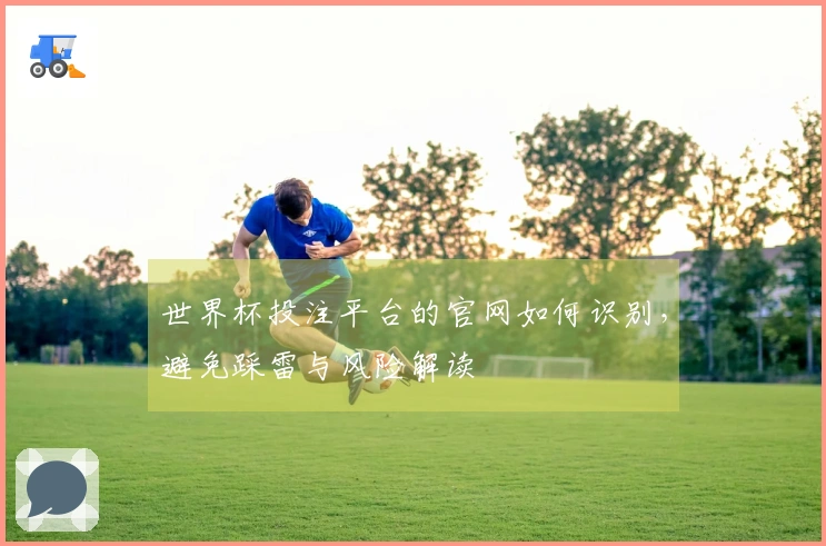 世界杯投注平台的官网如何识别，避免踩雷与风险解读