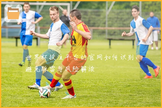 世界杯投注平台的官网如何识别，避免踩雷与风险解读