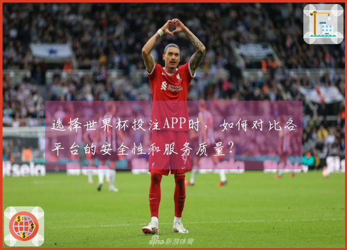 选择世界杯投注APP时，如何对比各平台的安全性和服务质量？