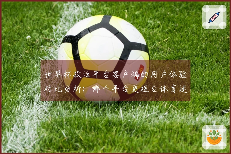 世界杯投注平台客户端的用户体验对比分析:哪个平台更适合体育迷?