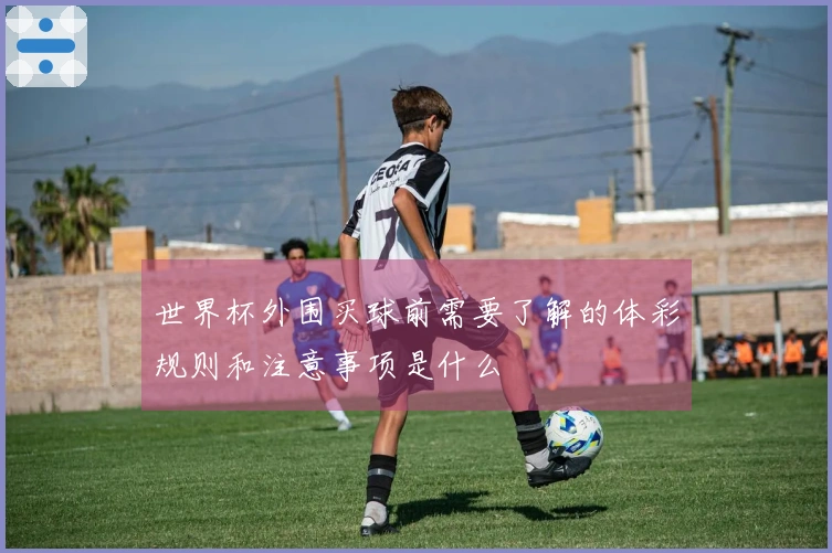 世界杯外围买球前需要了解的体彩规则和注意事项是什么