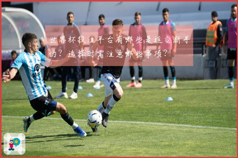 世界杯投注平台有哪些是适合新手的？选择时需注意哪些事项？