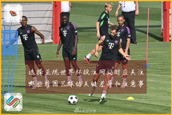 选择正规世界杯投注网站时应关注哪些外围买球的关键差异和注意事项