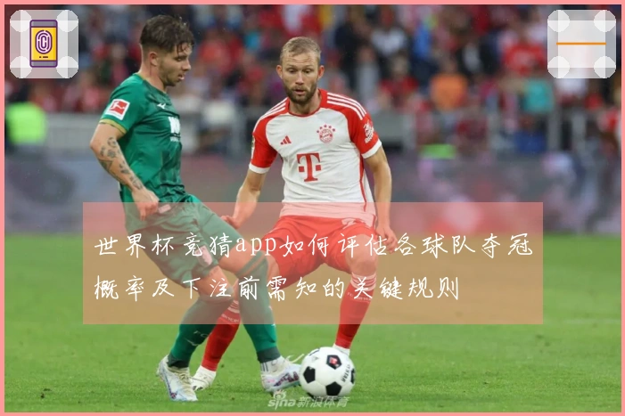 世界杯竞猜app如何评估各球队夺冠概率及下注前需知的关键规则