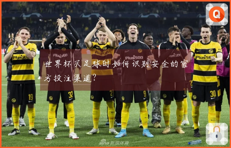 世界杯买足球时如何识别安全的官方投注渠道？