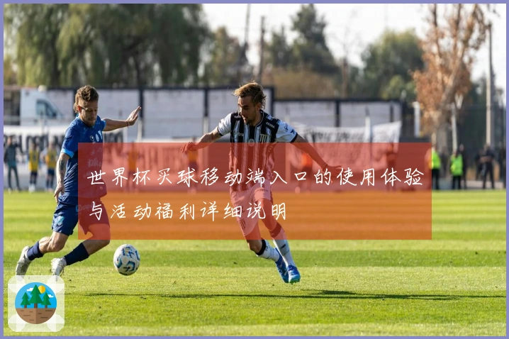 世界杯买球移动端入口的使用体验与活动福利详细说明