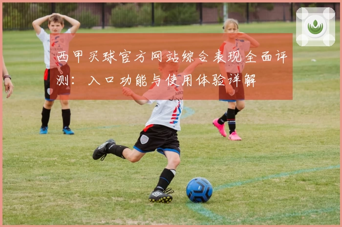 西甲买球官方网站综合表现全面评测：入口功能与使用体验详解