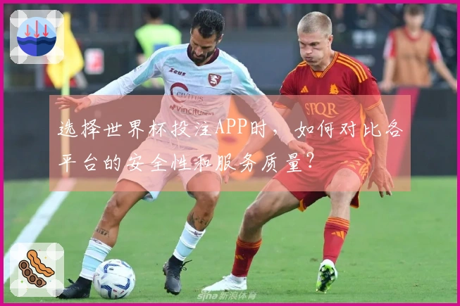 选择世界杯投注APP时，如何对比各平台的安全性和服务质量？