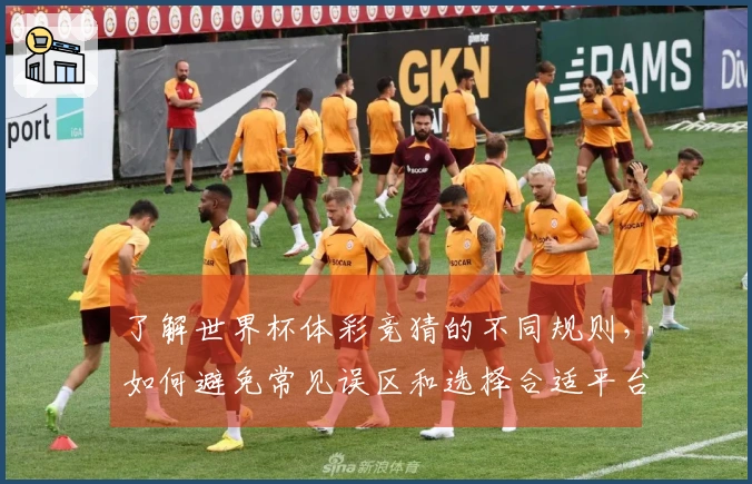 了解世界杯体彩竞猜的不同规则，如何避免常见误区和选择合适平台？