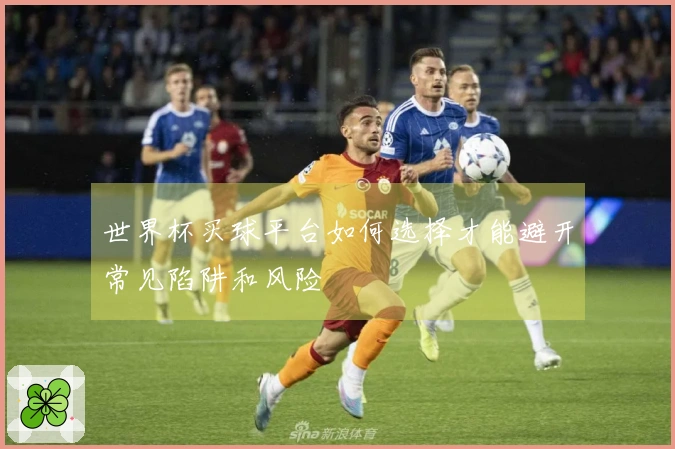 世界杯买球平台如何选择才能避开常见陷阱和风险